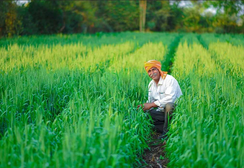 Agriculture