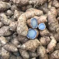 Black turmeric