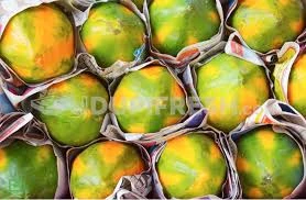 Fresh Tropical Papaya Fruit