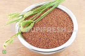 Ragi